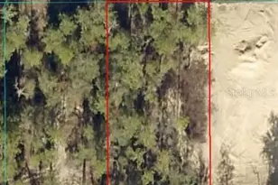 SW Marine Blvd, Dunnellon, FL 34431 - Photo 1