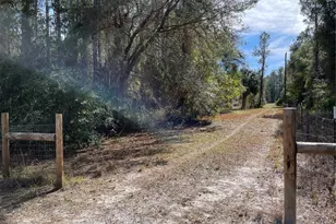 7785 NE 199th Street Rd, Citra, FL 32113 - Photo 12