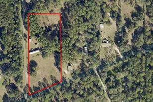 7785 NE 199th Street Rd, Citra, FL 32113 - Photo 18