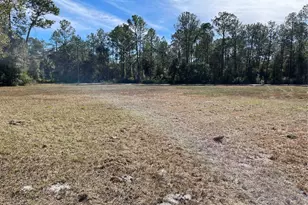 7785 NE 199th Street Rd, Citra, FL 32113 - Photo 8