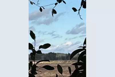 21425 SW Plantation Street, Dunnellon, FL 34431 - Photo 48