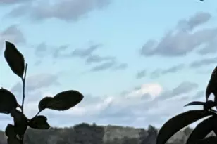 21425 SW Plantation St, Dunnellon, FL 34431 - Photo 48