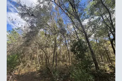 0000 NE 154th Avenue, Williston, FL 32696 - Photo 2