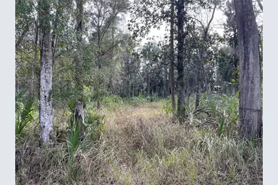 11106 W Townsend Lane, Homosassa, FL 34448 - Photo 1