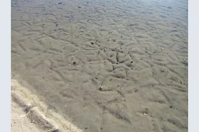 2249 SE 170th Avenue Road, Silver Springs, FL 34488 - Photo 94