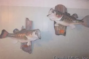 2249 SE 170th Avenue Rd, Silver Springs, FL 34488 - Photo 52