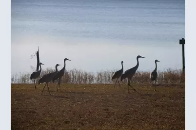 2249 SE 170th Avenue Road, Silver Springs, FL 34488 - Photo 88