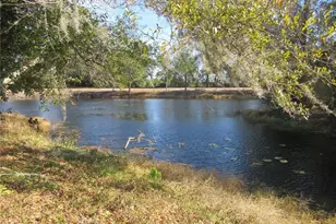 2249 SE 170th Avenue Rd, Silver Springs, FL 34488 - Photo 24