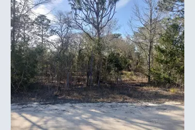 Se 137th Court, Morriston, FL 32668 - Photo 1