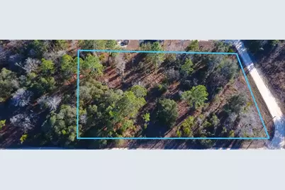 Se 136th Avenue, Morriston, FL 32668 - Photo 4