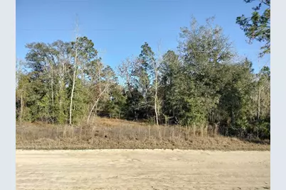 Se 136th Avenue, Morriston, FL 32668 - Photo 2