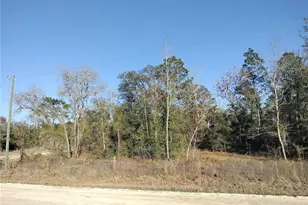 SE 136th Ave, Morriston, FL 32668 - Photo 1