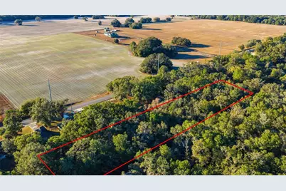 Sw 139th Court, Dunnellon, FL 34432 - Photo 6