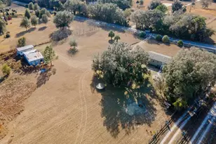 22457 NE 130th Court Rd, Fort Mc Coy, FL 32134 - Photo 40