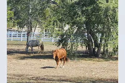 10532 SW 27th Avenue, Ocala, FL 34476 - Photo 96
