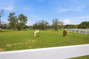 10532 SW 27th Ave, Ocala, FL 34476 - Photo 62