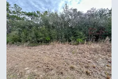 7891 N Darby Drive, Citrus Springs, FL 34433 - Photo 4