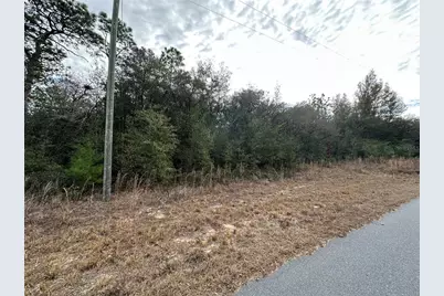 7891 N Darby Drive, Citrus Springs, FL 34433 - Photo 8