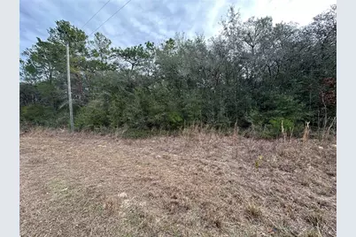 7891 N Darby Drive, Citrus Springs, FL 34433 - Photo 6