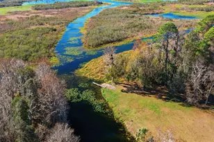 23065 SW 119th Pl, Dunnellon, FL 34431 - Photo 14