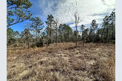 Tbd NE 150th Court, Williston, FL 32696 - Photo 2