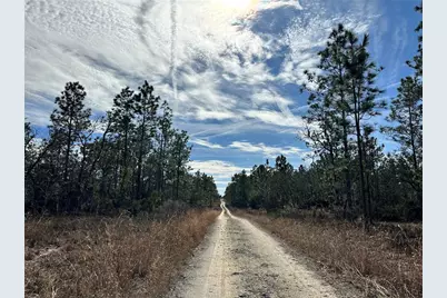 Tbd NE 150th Court, Williston, FL 32696 - Photo 4