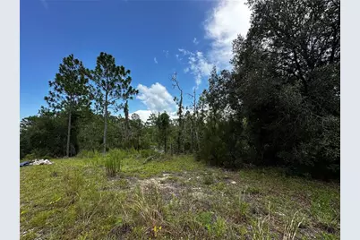 Tbd NE 16th Lane, Williston, FL 32696 - Photo 1