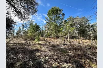 Tbd NE 16th Lane, Williston, FL 32696 - Photo 2