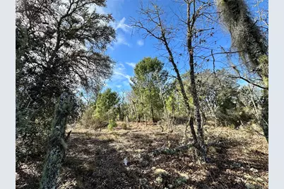 Tbd NE 16th Lane, Williston, FL 32696 - Photo 4