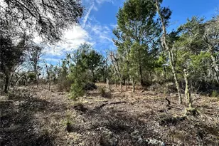 Tbd NE 16th Ln, Williston, FL 32696 - Photo 1