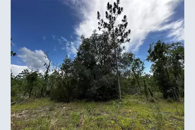 Tbd NE 16th Lane, Williston, FL 32696 - Photo 2