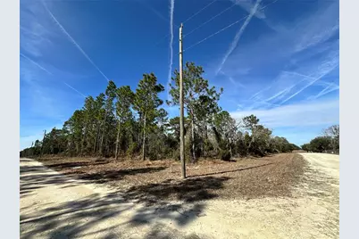 Tbd NE 19th Street, Williston, FL 32696 - Photo 2