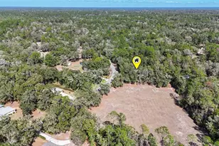 9925 SW 203rd Cir, Dunnellon, FL 34431 - Photo 62