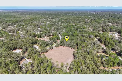 9925 SW 203rd Circle, Dunnellon, FL 34431 - Photo 60