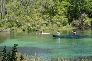 9925 SW 203rd Cir, Dunnellon, FL 34431 - Photo 82