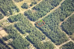 94 W Lynx Dr, Dunnellon, FL 34434 - Photo 1