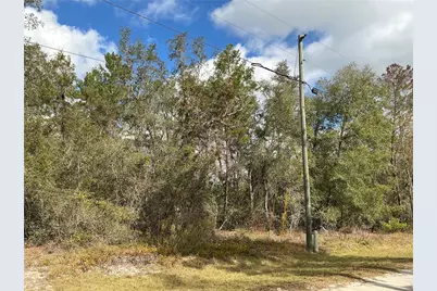 Lot 8 Fisher Trace, Ocklawaha, FL 32179 - Photo 2