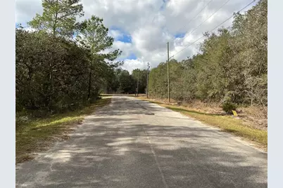 Lot 8 Fisher Trace, Ocklawaha, FL 32179 - Photo 4