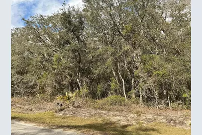 Lot 8 Fisher Trace, Ocklawaha, FL 32179 - Photo 4