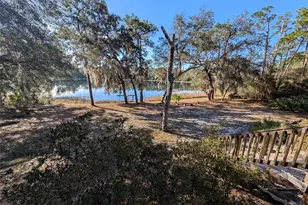 14730 SE 61st Street Rd, Ocklawaha, FL 32179 - Photo 72