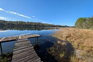 14730 SE 61st Street Rd, Ocklawaha, FL 32179 - Photo 84
