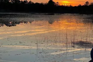 14730 SE 61st Street Rd, Ocklawaha, FL 32179 - Photo 68