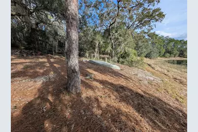 14730 SE 61st Street Road, Ocklawaha, FL 32179 - Photo 80
