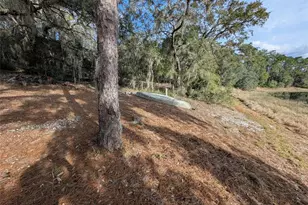 14730 SE 61st Street Rd, Ocklawaha, FL 32179 - Photo 80