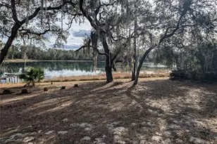 14730 SE 61st Street Rd, Ocklawaha, FL 32179 - Photo 76