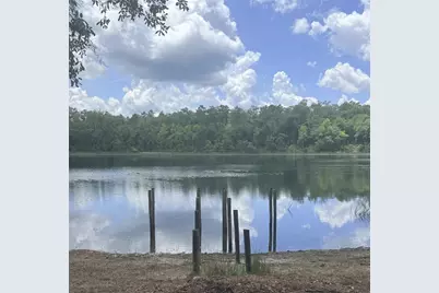 14730 SE 61st Street Road, Ocklawaha, FL 32179 - Photo 6