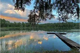 14730 SE 61st Street Rd, Ocklawaha, FL 32179 - Photo 70