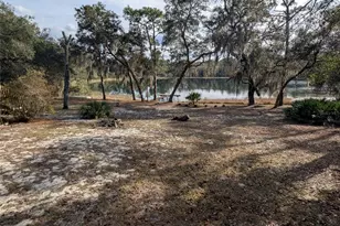 14730 SE 61st Street Rd, Ocklawaha, FL 32179 - Photo 74