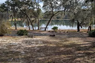 14730 SE 61st Street Rd, Ocklawaha, FL 32179 - Photo 76