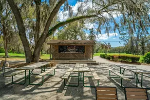 19735 SW 77th Loop, Dunnellon, FL 34432 - Photo 78